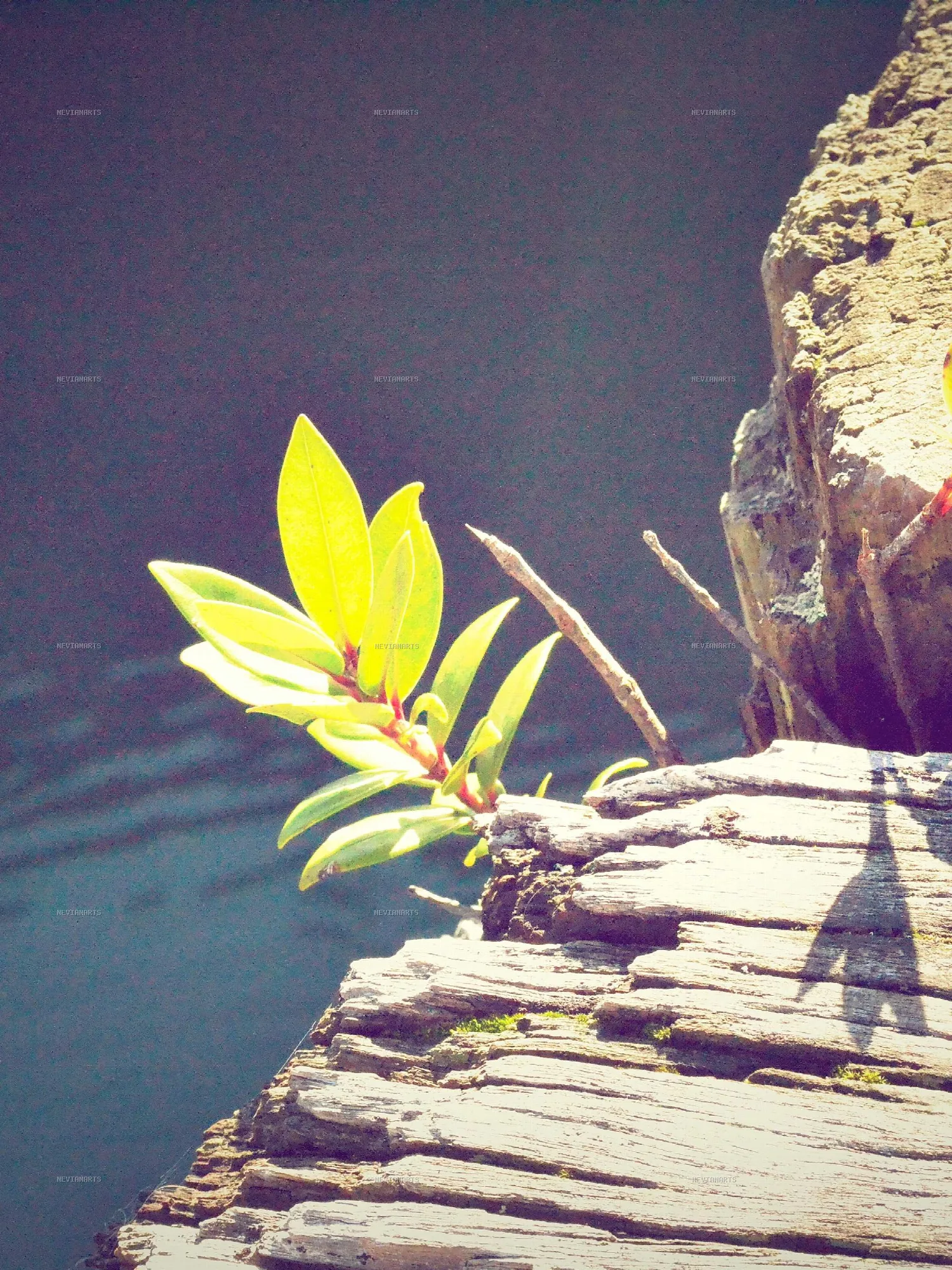 Small beginnings